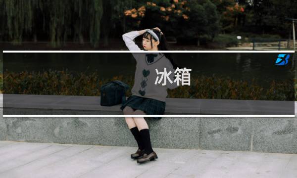 冰箱 柜